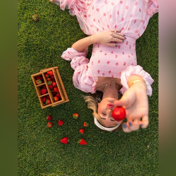 Ivy City Co Dresses & Skirts - Ivy City Co Strawberry Fields Jess Dress NWT